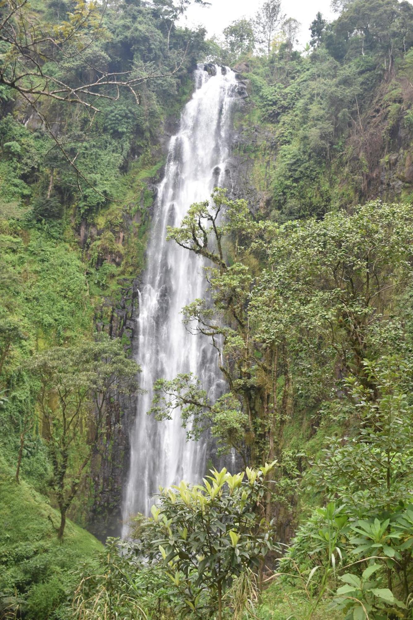 Kilimanjaro Accommodation Msaranga 外观 照片